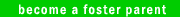 become a foster parent